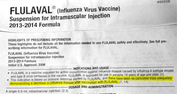 Influenza Virus Vaccine Fluaval 2