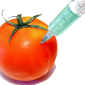 Are GMOs A Bad Idea? Maybe This 15 Year Old Knows The Truth… Do You?
